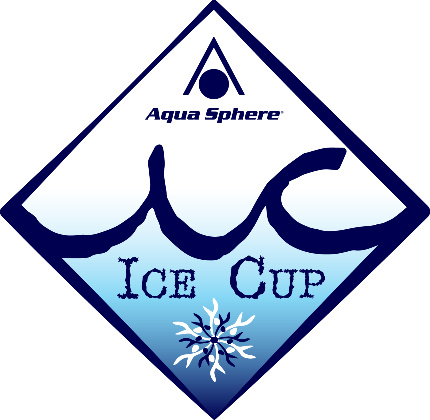 About Amsterdam Ice Swim about-amsterdam-ice-swim